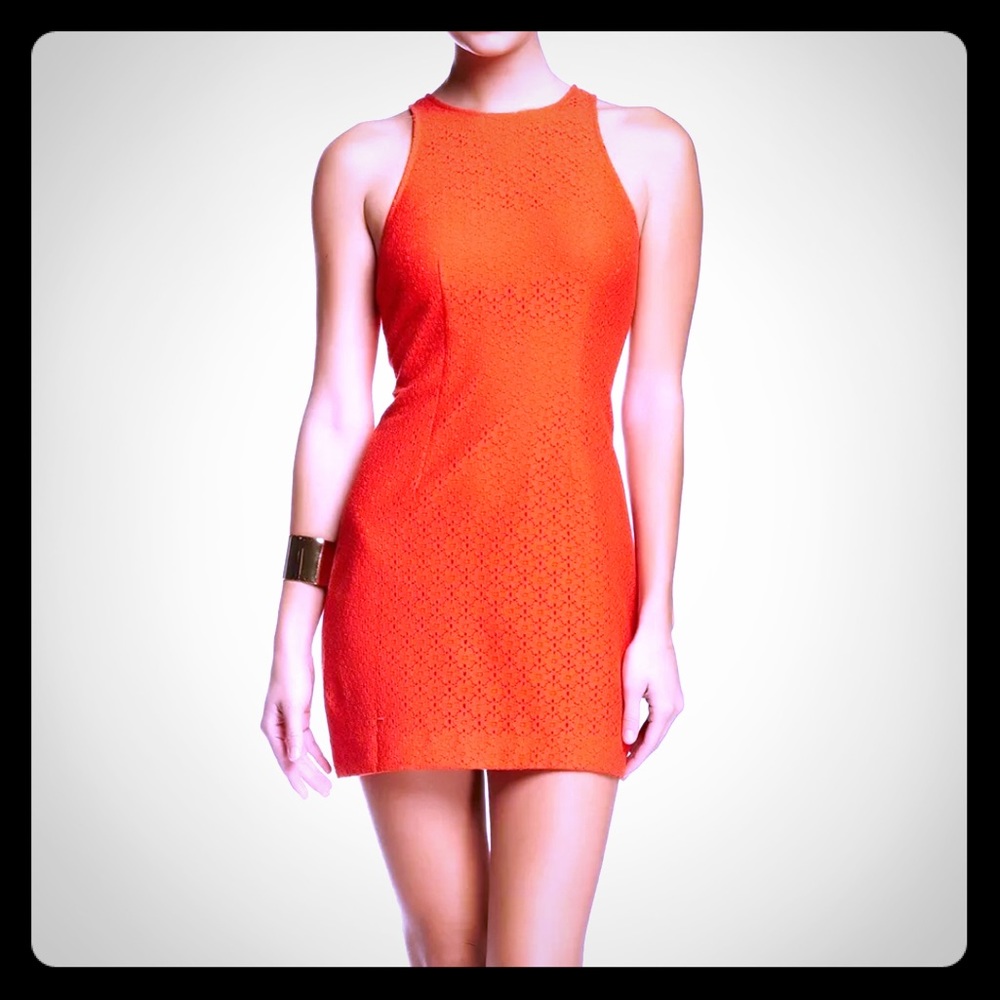 CECE Size 6 lace sheath dress NWT